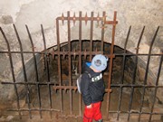 Výlet na vánoční zámek Radim